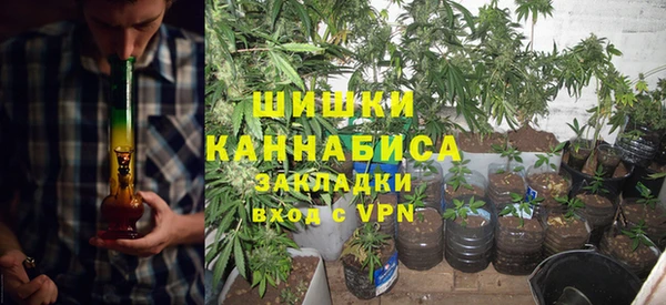 ПСИЛОЦИБИНОВЫЕ ГРИБЫ Россошь