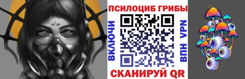 Псилоцибиновые грибы GOLDEN TEACHER  купить   Краснознаменск 